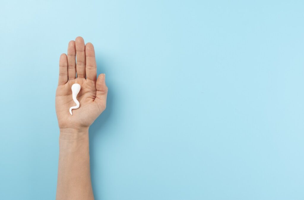 Egg Donation Program in Patna - Advanced Donor Egg IVF