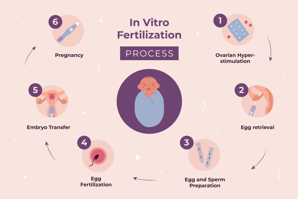 Step-by-Step IVF Process at Puja IVF

