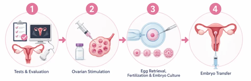 IVF Treatment steps