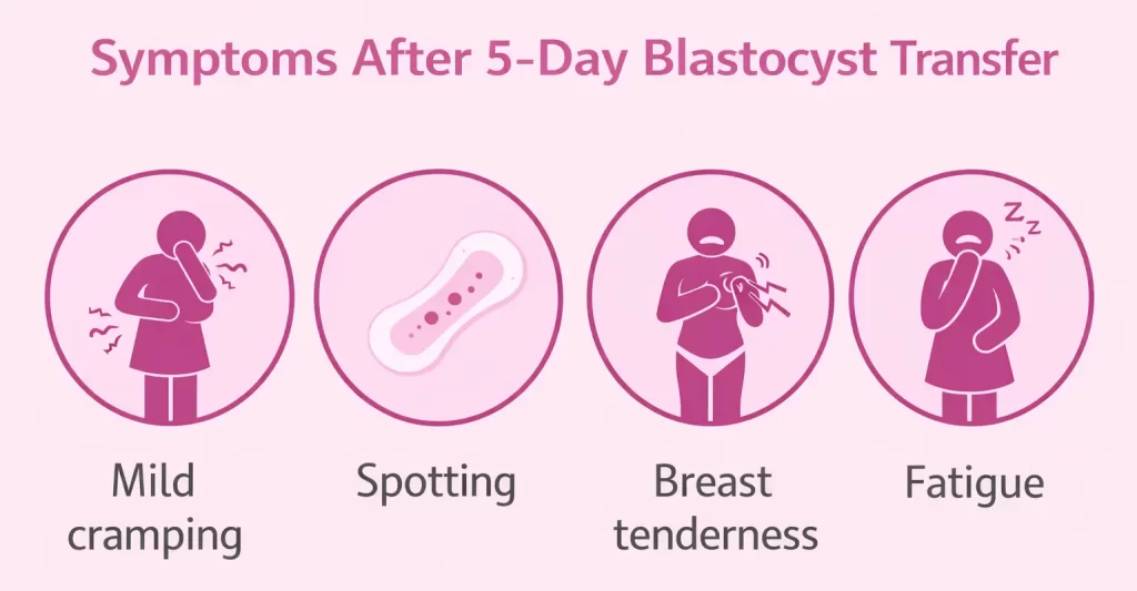 5-Day Blastocyst Transfer Symptoms