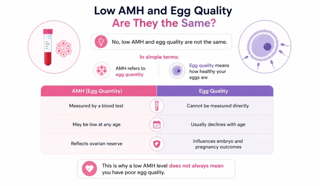 Low AMH vs egg quality explained