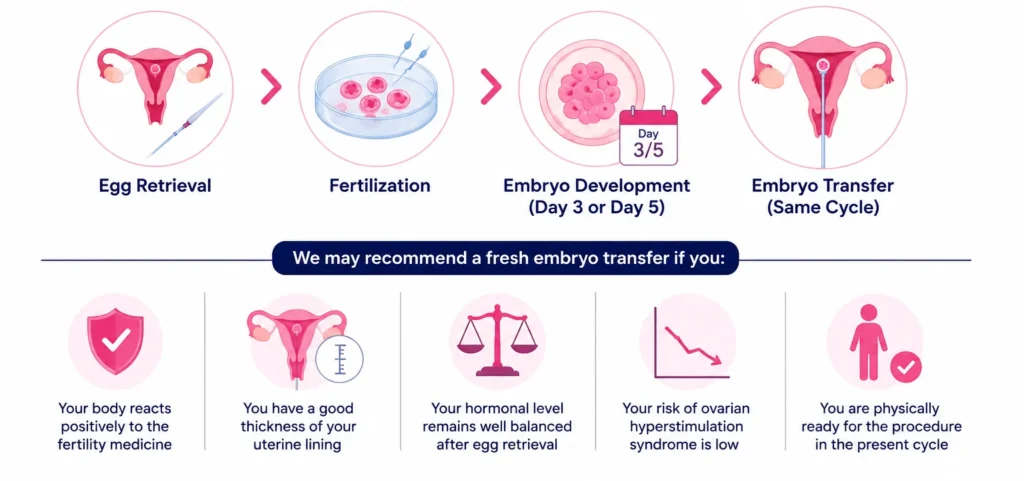 fresh embryo transfer in IVF